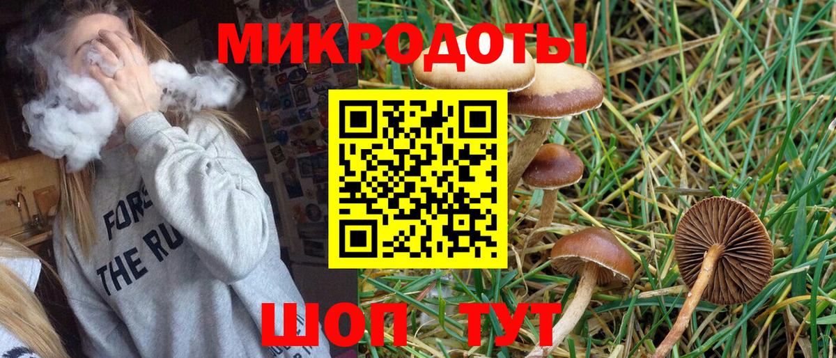Надым  закладка  Вход с VPN  Галлюциногенные грибы Psilocybine cubensis 